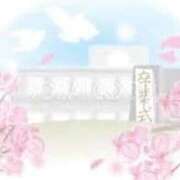 ヒメ日記 2026/03/24 07:49 投稿 しずか 鹿児島ちゃんこ霧島店