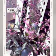 ヒメ日記 2026/04/01 08:59 投稿 しずか 鹿児島ちゃんこ霧島店