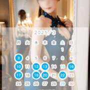 ヒメ日記 2025/02/26 11:15 投稿 つばき コルドンブルー