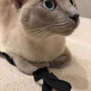 ヒメ日記 2025/08/26 10:51 投稿 つばき コルドンブルー