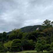 ヒメ日記 2025/10/28 11:09 投稿 つばき コルドンブルー