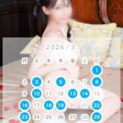 ヒメ日記 2026/02/17 10:40 投稿 つばき コルドンブルー