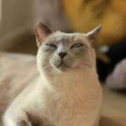 ヒメ日記 2026/04/03 10:48 投稿 つばき コルドンブルー