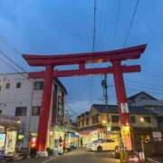 ヒメ日記 2025/02/02 10:13 投稿 ひろ エディーズ