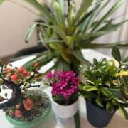 ヒメ日記 2025/02/13 01:50 投稿 ひろ エディーズ