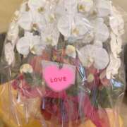 ヒメ日記 2025/02/13 14:20 投稿 ひろ エディーズ