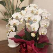 ヒメ日記 2025/02/25 14:31 投稿 ひろ エディーズ