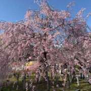 ヒメ日記 2025/04/02 07:30 投稿 ひろ エディーズ