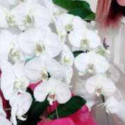 ヒメ日記 2025/04/13 13:26 投稿 ひろ エディーズ