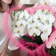 ヒメ日記 2025/05/13 12:43 投稿 ひろ エディーズ