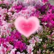 ヒメ日記 2025/05/21 12:58 投稿 ひろ エディーズ