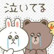 ヒメ日記 2025/06/12 07:52 投稿 ひろ エディーズ