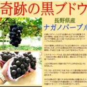 ヒメ日記 2025/09/23 14:06 投稿 ひろ エディーズ