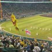 ヒメ日記 2025/11/01 17:40 投稿 ひろ エディーズ