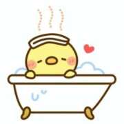 ヒメ日記 2025/11/02 16:09 投稿 ひろ エディーズ