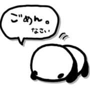 ヒメ日記 2026/01/11 07:56 投稿 ひろ エディーズ