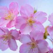 ヒメ日記 2026/02/04 09:37 投稿 ひろ エディーズ