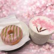 ヒメ日記 2026/02/20 14:06 投稿 ひろ エディーズ