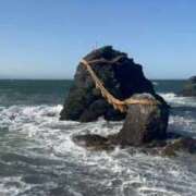 ヒメ日記 2026/03/02 15:11 投稿 ひろ エディーズ