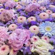 ヒメ日記 2026/04/08 07:44 投稿 ひろ エディーズ