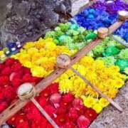 ヒメ日記 2026/04/10 13:56 投稿 ひろ エディーズ