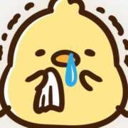 ヒメ日記 2026/04/12 07:06 投稿 ひろ エディーズ