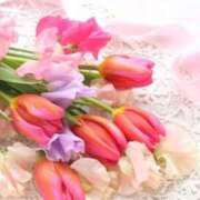 ヒメ日記 2026/04/30 17:08 投稿 ひろ エディーズ