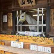 ヒメ日記 2026/09/04 11:35 投稿 ひろ エディーズ