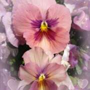 ヒメ日記 2025/03/18 15:20 投稿 あやめ 奥様特急　池袋・大塚店