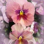 ヒメ日記 2025/03/18 15:24 投稿 あやめ 奥様特急　上野・鶯谷店