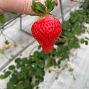 ヒメ日記 2025/03/06 12:16 投稿 なな 熊本グラマーグラマー