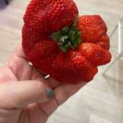 ヒメ日記 2025/06/04 18:06 投稿 なな 熊本グラマーグラマー