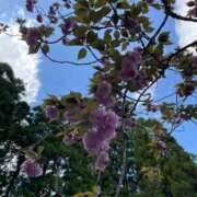 ヒメ日記 2025/07/09 20:00 投稿 なな 熊本グラマーグラマー