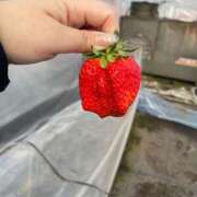 ヒメ日記 2026/01/20 21:35 投稿 なな 熊本グラマーグラマー