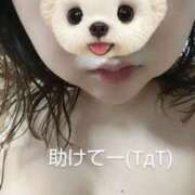 ヒメ日記 2025/06/28 19:42 投稿 新垣舞 五十路マダムエクスプレス豊橋店（カサブランカグループ）