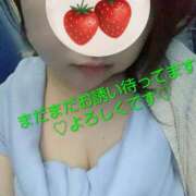 ヒメ日記 2025/09/24 17:14 投稿 新垣舞 五十路マダムエクスプレス豊橋店（カサブランカグループ）