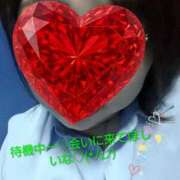 ヒメ日記 2025/10/04 16:04 投稿 新垣舞 五十路マダムエクスプレス豊橋店（カサブランカグループ）