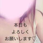 ヒメ日記 2026/03/16 11:48 投稿 新垣舞 五十路マダムエクスプレス豊橋店（カサブランカグループ）