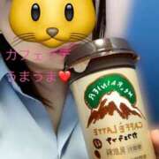 ヒメ日記 2026/04/07 18:42 投稿 新垣舞 五十路マダムエクスプレス豊橋店（カサブランカグループ）