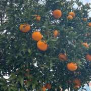 かよこ 久しぶり✋ 快楽夫人