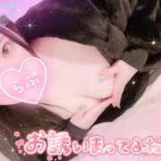 ヒメ日記 2025/01/30 16:17 投稿 さつき Okini所沢