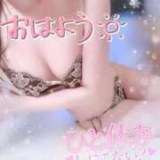 ヒメ日記 2025/05/29 16:17 投稿 さつき Okini所沢