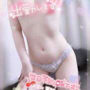 ヒメ日記 2025/09/03 13:07 投稿 さつき Okini所沢