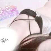 ヒメ日記 2025/10/29 13:22 投稿 さつき Okini川越