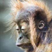 ヒメ日記 2025/08/27 14:33 投稿 カレン クラブKG