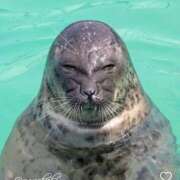 ヒメ日記 2025/09/15 14:33 投稿 カレン クラブKG