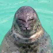 ヒメ日記 2025/09/29 14:33 投稿 カレン クラブKG