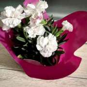 るな おはようございます 性腺熟女100％（デリヘル市場）