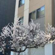 ヒメ日記 2026/03/22 20:15 投稿 るな 性腺熟女100％本店（デリヘル市場）