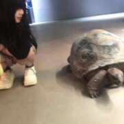 ヒメ日記 2025/03/26 17:40 投稿 ぷりん マリン宇都宮店